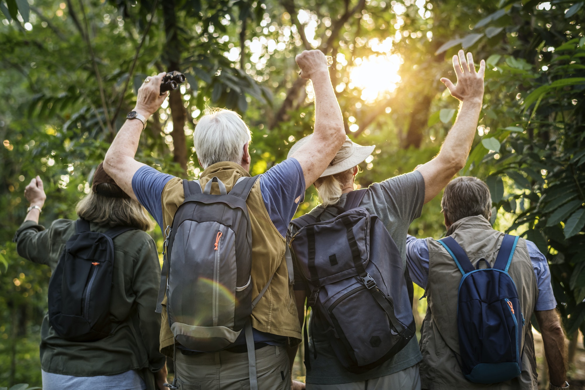 group-of-senior-adults-trekking-in-the-forest.jpg